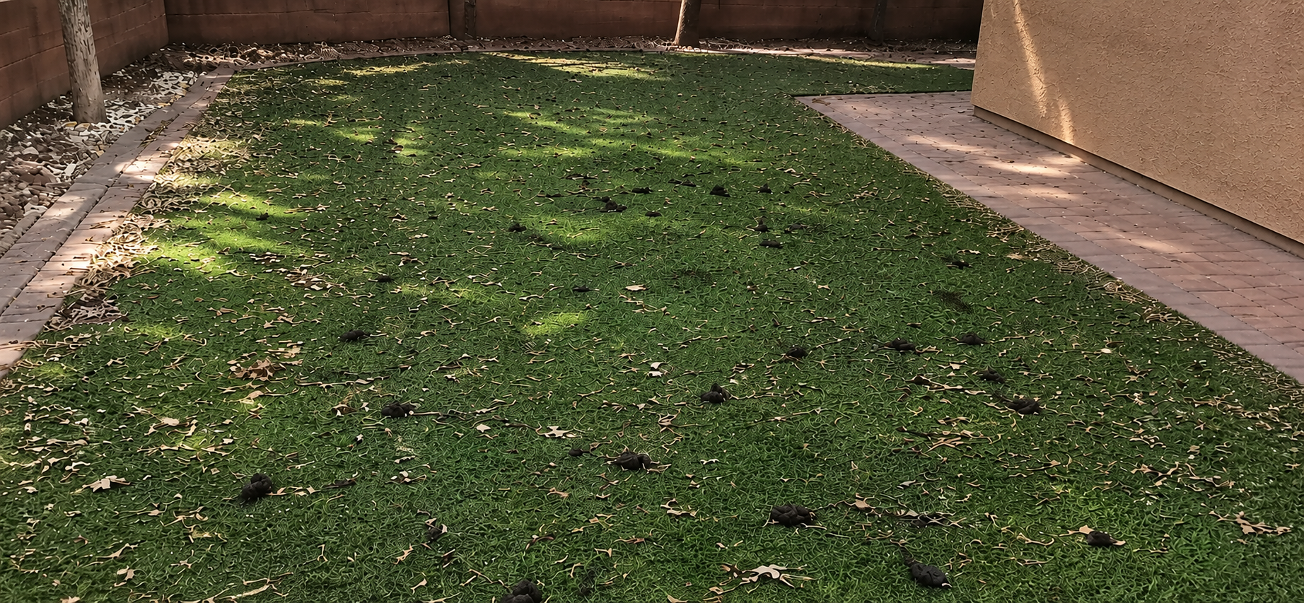 Before Grass & Turf